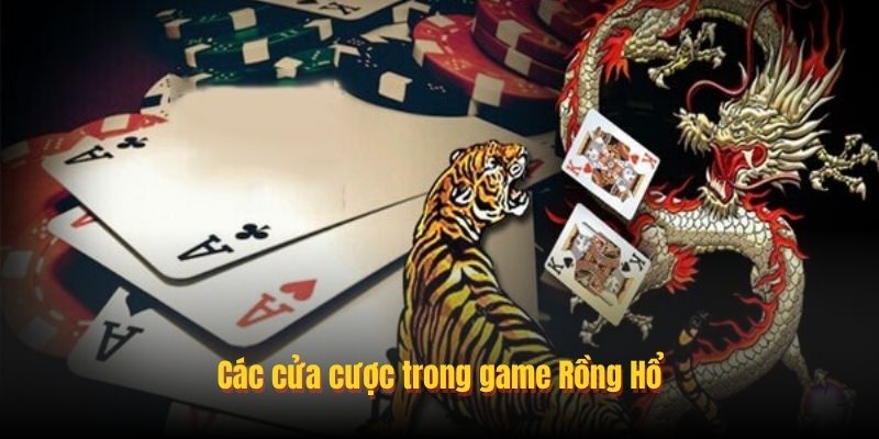 Tool giúp người chơi đưa ra quyết định chính xác hơn