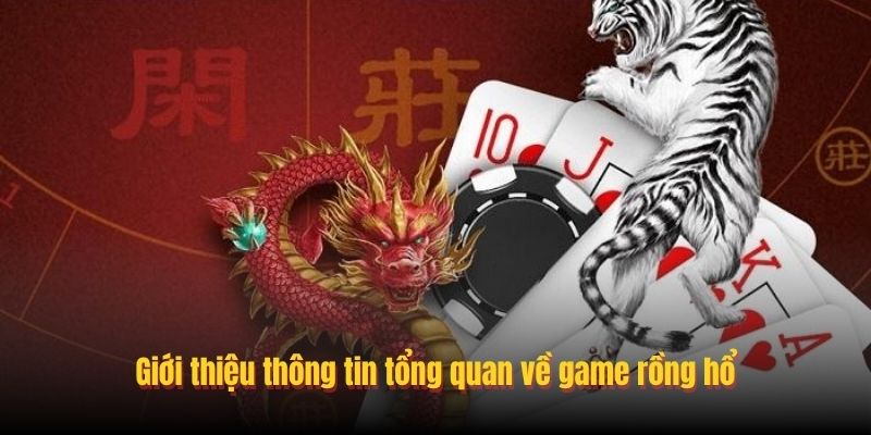 Tool Hack Rồng Hổ Quy Tắc Vận Hành Và Các Lưu Ý Chính